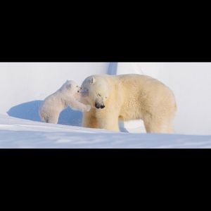 Meet your Posher, Katerina